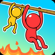 Rope Puzzle